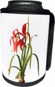 Can Cooler Bottle Wrap - Redoute Vintage Watercolor Floral Jacobean Lily Amaryllis Formoissima Redoute Fruits and Flowers