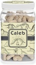 YouCustomizeIt Personalized Dinosaur Skeletons Dog Treat Jar