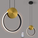Modern Black and Gold Pendant Lights Fixture, RC Dimmable LED Pendant Lighting for Kitchen Island, Round Small Linear Pendant Light for Dining Room Sink Bedroom Bathroom, Single, Height Adjustable
