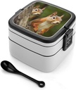 Stackable Double-Layer Bento Box Squirrel Adults Lunchbox with Spoon Cute Japanese Bento Box Dishwasher Safe for Work Travel Dining Outc