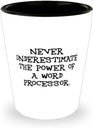 Brilliant Word processor Gifts, Never Underestimate the, Birthday Unique Gifts, Shot Glass For Word processor from Team Leader, Creative word processor gifts, Personalized word processor gifts, Word