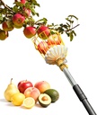 13.5FT Fruit Picker, Apple Picker Tool with Adjustable Pole and Basket, Long Reach Mango Grabber Tool, Tree Fruit Catcher for Picking Lemon Pear Orange Avocado Peach Citrus