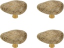 Crapyt Irregular Rock-Shaped Knobs with Single Hole Natural Style Decorative Furniture Drawer Handle Pulls with Brass Base 4 Pack Unique Stone Cabinet Wardrobe Bookcase Shoecase Cupboard with Screws
