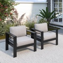 Solaste Patio Furniture Metal Armchair,2 PCS All-Weather Aluminum Garden Outdoor Contemporary Sofa Chair with Cushions, Light Grey