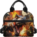 Showudesigns Dinosaur Lunch Bag for Kids Boys Lunch Boxes for School 10-12 Flame Bento Cooler Bag Cute Insulated Lunchbox Container Picnic Bags Crossbody Purse Brown