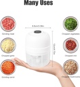 Electric Garlic Chopper, Mini Portable Veggie Chopper 250ml USB Rechargeable, Vegetable Chopper with Container, Small Food Processor for Chopping Garlic, Ginger, Chili, Minced Meat, Onion(White）