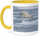 3dRose Europe, Norway, Svalbard. Polar bear cub slips on ice. 15oz Two-Tone Yellow Mug