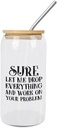 Quotes Glass Cups with Bamboo Lids And Straw 16 Oz, Sure Let Me Drop Everything And Work On Your Problem Iced Tea Glasses Drinking Glasses Set Tumbler Glass Can Coffee Cups, Drinking Glassware