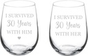 MIP Set of 2 Wine Glass Goblet Gift I Survived 30 Years 30th Anniversary (17 oz Stemless)
