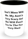 Aunt For, Don't Mess With Me. My Aunt Is Very Scary And She Will Punch You In The Face, Epic Aunt Shot Glass, Ceramic Cup From Niece