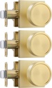 goldenwarm Gold Closet Door Knobs Interior, Bruhsed Gold Passage Interior Door Knobs, Heavy Duty Zinc Alloy Indoor Brushed Brass Door Levers for Closet, Hall, 3 Pack