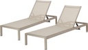 Christopher Knight Home Outdoor Aluminum Chaise Lounge, Set of 2, Grey