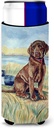 Chocolate Labrador Puppy Ultra Beverage Insulators for slim cans