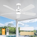 DAMINY 52 inch Ceiling Fan with Light,6CCT,5 Blade,Low Profile Ceiling Fan with Light and Remote Control,Downrods,White,Living Room,Indoor/Outdoor Use