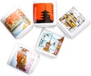 Mino Ceramic Sake Cups [Made in Japan/Set of 5]: Featuring Kyoto's Iconic Landmarks through the Four Seasons in Gift Box