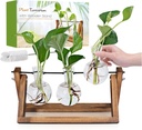 Plant Propagation Station, Plant Terrarium with Wooden Stand, Unique Gardening Birthday Gifts for Women Plants Lovers, Home Office Garden Decor Planter - 3 Bulb Glass Vases