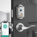 Smart Front Door Lock Set: Silver Hornbill Keyless Entry Door Lock with Handles Fingerprint Electronic Digital Deadbolt Lock with Keypad Code App Alexa Auto Lock for House Apartment