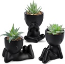 Der Rose 3pcs Fake Succulents Plants Artificial for Black Bathroom Bedroom Home Living Room Halloween Decor Aesthetic Indoor