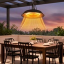 Hanging Patio Heater,1500W Hanging Ceiling Mounted Infrared Patio Heater with IP55,Cord-Free Design (black)