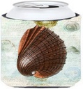 Caroline's Treasures SB3032CC Beach Prickly Cockle Shell Can or Bottle Hugger Cooler Washable Drink Sleeve Collapsible Beverage Insulated Holder, Can Hugger, Multicolor
