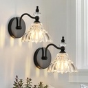 Vintage Industrial Wall Sconces Set of 2 - Antique Black Wall Lighting with Crystal Glass Shade, Wall Mounted for Bedroom Bathroom Living Room Indoor