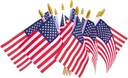HOOSUN 12 Pcs Small American Flags On Stick,Patriotic Decorations Small USA Flags On Stick,Mini American 4''x6'' Flag,Veterans Day Decorations for Outside Patriotic Holiday Yard Patio Decor