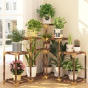 HOMKIRT Plant Stand Indoor Outdoor, 11 Tier Corner Shelf Wood Rack Organizer Display for Multiple Plants Large Ladder Holder Flower Stand for Living Room Patio Porch