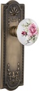 Nostalgic Warehouse Meadows Plate with Rose Porcelain Knob Complete Passage Set, Antique Brass
