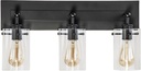 Regan 21 in. 3-Light Espresso Bronze Bathroom Vanity Light with Clear Glass Shades (DS19267)